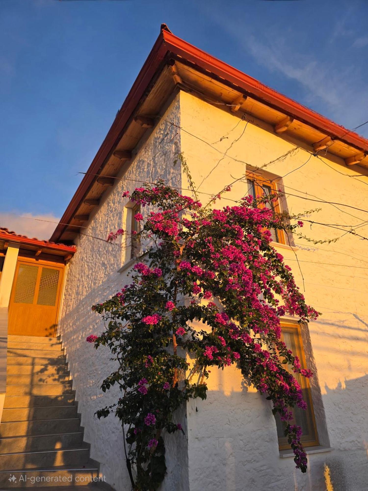 Guest House Luiza Borsh Exterior foto